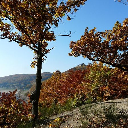 Belvedere - Das Bio Hotel Garni & Suitehotel Am Edersee ! Unser Geschenk Fuer Sie, Auch Die Gaestecard Grimmheimat! Waldeck  Εξωτερικό φωτογραφία