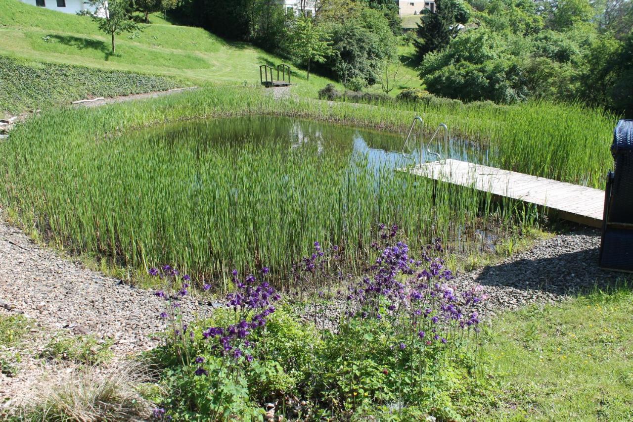 Belvedere - Das Bio Hotel Garni & Suitehotel Am Edersee ! Unser Geschenk Fuer Sie, Auch Die Gaestecard Grimmheimat! Waldeck  Εξωτερικό φωτογραφία