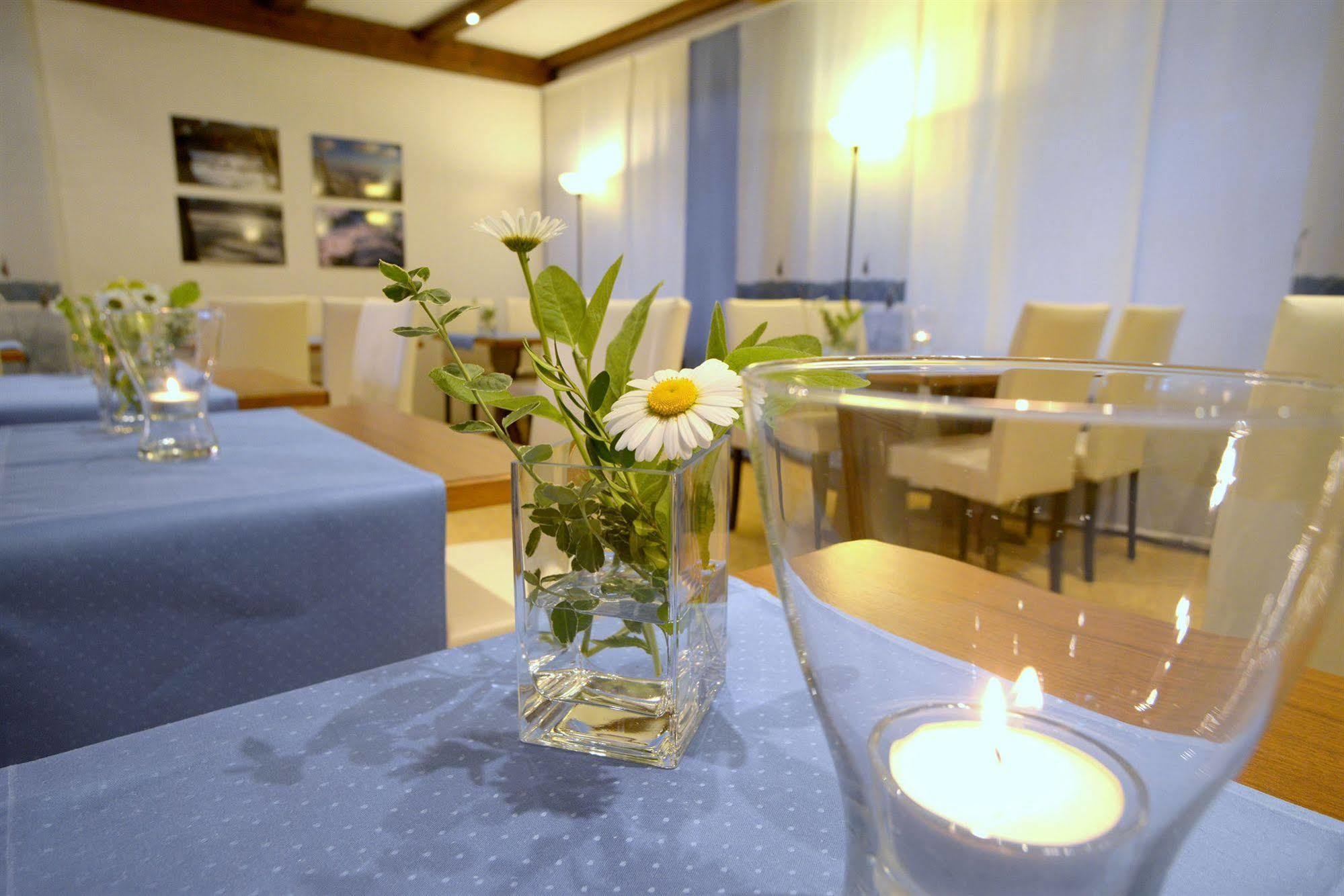 Belvedere - Das Bio Hotel Garni & Suitehotel Am Edersee ! Unser Geschenk Fuer Sie, Auch Die Gaestecard Grimmheimat! Waldeck  Εξωτερικό φωτογραφία